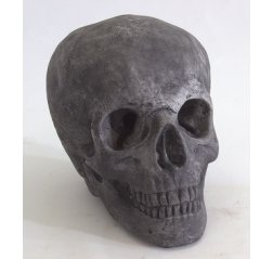 Skull statue-thumbnail