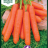 Porkkana 'Nantaise 2'-thumbnail