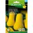 Myskikurpitsa 'Early Butter Nut F1'-thumbnail