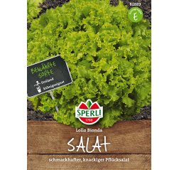 Salaatti, Lehti-, 'Lollo Bionda'-thumbnail