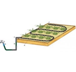 Porous Pipe irrigation system for planting-thumbnail