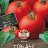 Tomaatti 'Matina'-thumbnail
