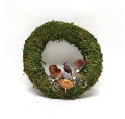 Sammal kranssi sieni ja lintu koristeilla-thumbnail