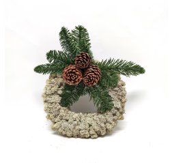 Lichen wreath conifers and cons-thumbnail