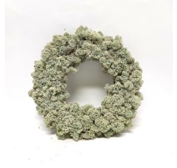 Lichen wreath-thumbnail
