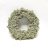 Lichen wreath-thumbnail