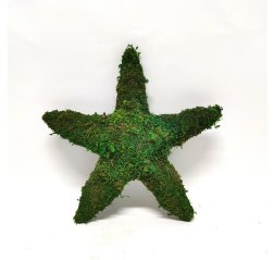 Moss star wreath-thumbnail
