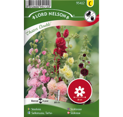 Alcea rosea 'Chaters Double'-thumbnail