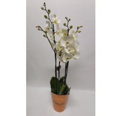 Iso Deluxe orkidea 4 vanainen n. 75 cm-thumbnail