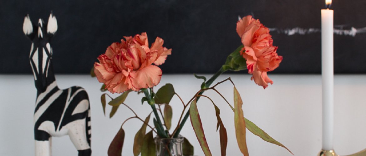 Yksittäisiä kukkia-thumbnail