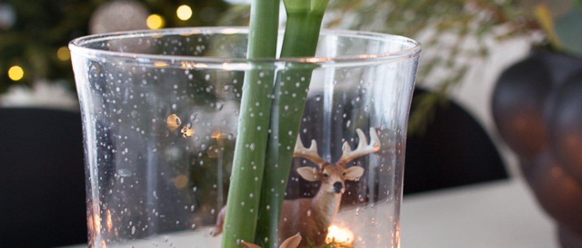 Jouluiset asetelmat-thumbnail