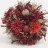 Dried flower bouquet red smaller-thumbnail