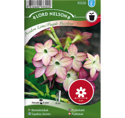 Koristetupakka 'Avalon lime/Purple Bicolour F1'-thumbnail
