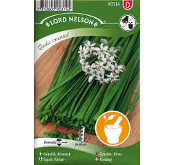 Allium tuberosum 'Garlic Oriental'-thumbnail