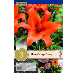 Lilja Orange County 3-thumbnail