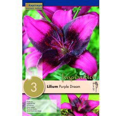 Lilja Purple Dream 3-thumbnail
