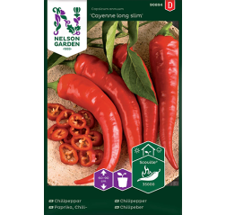 Paprika, Chili-, 'Cayenne long slim'-thumbnail