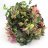 Wandering Jew-thumbnail