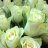 Bouquet of white roses-thumbnail