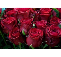 Bouquet of red roses-thumbnail