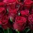 Bouquet of red roses-thumbnail