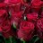 Rose bouquet Premium-thumbnail