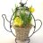 Coffee pot arrangement of narcissus-thumbnail