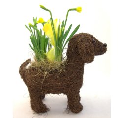 Flower dog of Easter-thumbnail