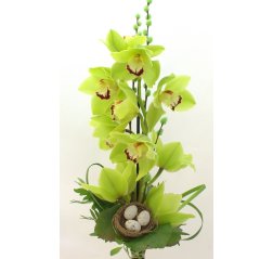 Korkea orkideakimppu-thumbnail