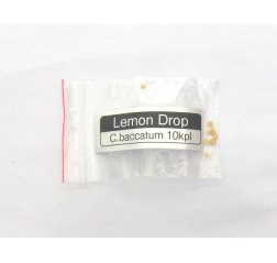 Lemon Drop C.baccatum-thumbnail