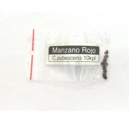Manzano Rojo C.pubescens-thumbnail