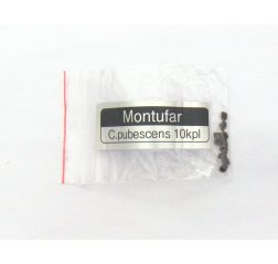 Montufar C.pubescens-thumbnail