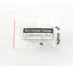 Mini Rocoto Orange C.pubescens-thumbnail