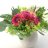 Matala äitienpäiväkimppu hortensiasta-thumbnail