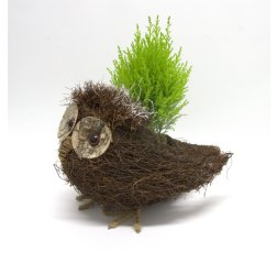 The owl arrangement with cypress-thumbnail