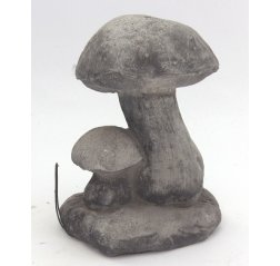 Mushrooms-thumbnail