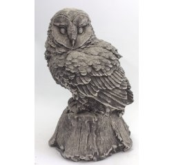 Owl on the stump-thumbnail