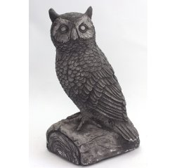 Owl on the branch-thumbnail