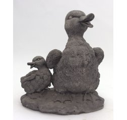 Duck and nestling-thumbnail