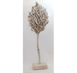 Wooden branch tree-thumbnail