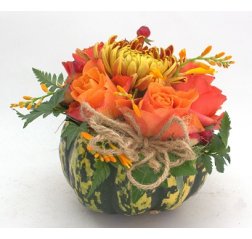 Flowery pumpkin-thumbnail