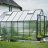 Greenhouse HALLS MAGNUM 11,5 M² with polycarbonate sheet, green frame-thumbnail