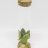 Clusia rosea cutting-thumbnail