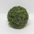 Buxus ball 22 cm-thumbnail