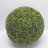 Buxus ball 50 cm-thumbnail