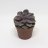 Echeveria succulent plant (13 cm)-thumbnail