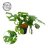 Peikonlehti (monstera) 12cm-thumbnail