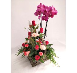 Multi-level Orchid flower basket-thumbnail