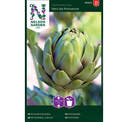 Cynara cardunculus 'Vert de Provence'-thumbnail