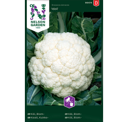 Cauliflower 'Idol'-thumbnail